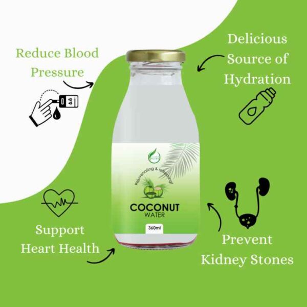 Coconut Water - 330ml