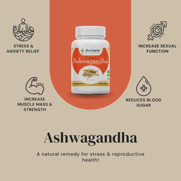 Ashwagandha - 60 capsules